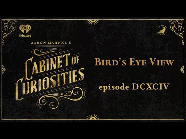 Ep 694: Bird’s Eye View | AARON MAHNKE'S CABINET OF CURIOSITIES