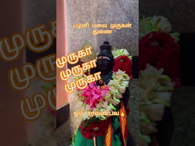 முருகன் வாக்கு🙏🏻#divine#om#tamilkadavul#murugan#bhakthi#tv#jothitv #quotes#lordmurugan#tamil#shareit