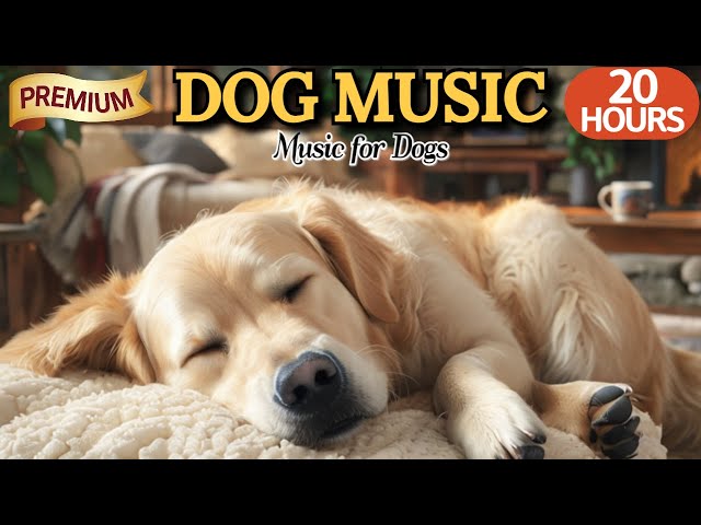 20 HOURS of Dog Calming Music💖🐶Sleepy Tunes for Your Pup🐶Separation Anxiety Relief💖⭐HealingMate