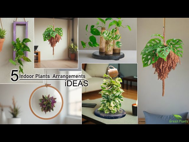 Mood Boosting Greenery: 5 Indoor Plant Arrangements for Better Air Quality of Any Room//GREEN PLANTS