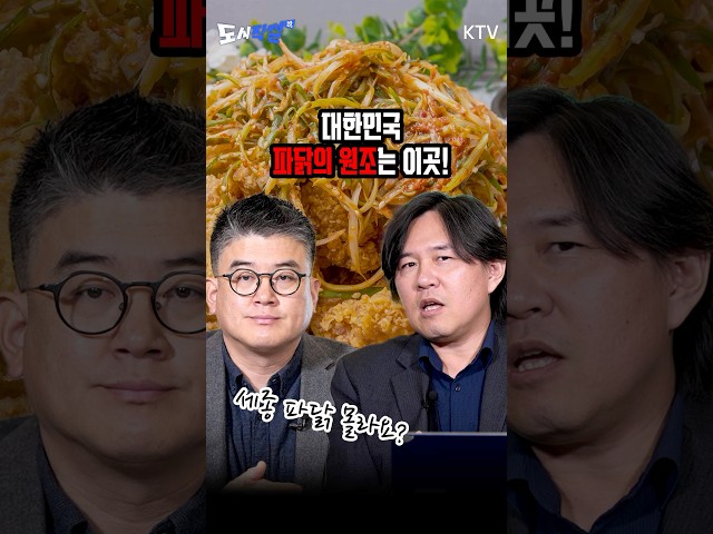 [도시직썰] 세종시! 뜬금없이 파닭이 원조라고? #김시덕 #도시 #여행 #세종시