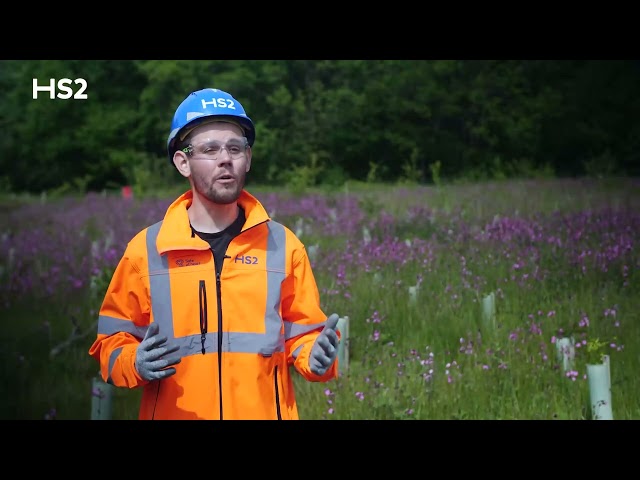 HS2’s new Warwickshire wildlife habitats spring into life