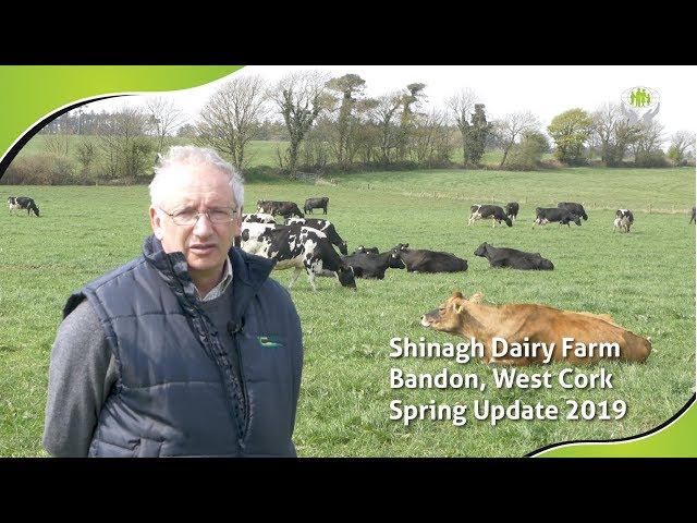 John McNamara, Teagasc – Spring Update 2019