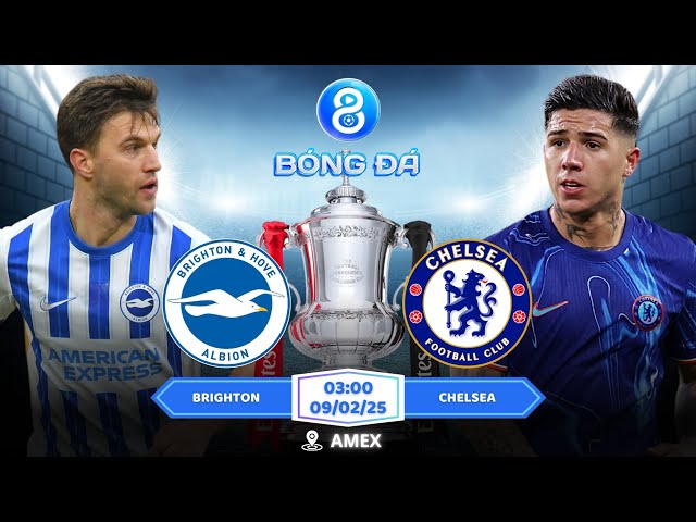 FA CUP | Nhận định, Soi kèo Brighton vs Chelsea 03h00 09/02: Khắc Tinh của Mồng Biển