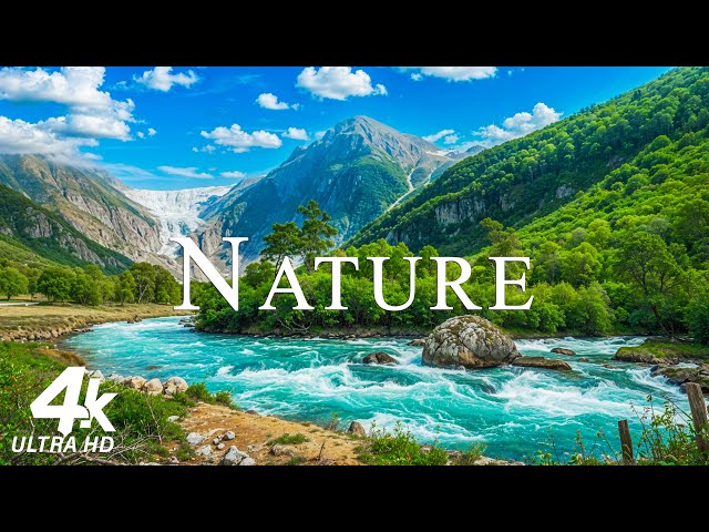 Nature Relaxation Film 4K - Peaceful Relaxing Music - Nature 4k Video UltraHD