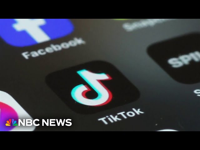 TikTok content creators prepare for app's potential ban