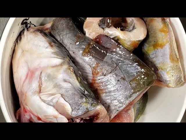 HOW TO CLEAN | WASH CATFISH with hot water TO REMOVE SLIME / fast and easy way to clean fish