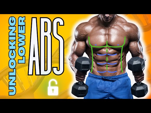 Effective Ab Workouts! Targeting Lower Abs: Fun Ab Exercises