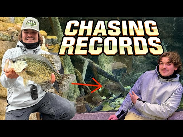 Secrets REVEALED! Springtime Crappie Fishing in Virginia