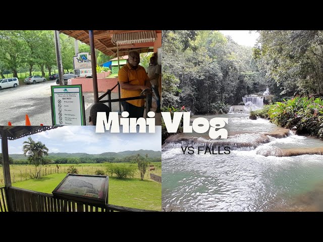 YS Falls Vlog