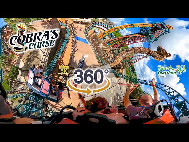 VR 360 5K Cobra's Curse Roller Coaster Normal and Horizon Locked POV Busch Gardens Tampa 2021 06 12