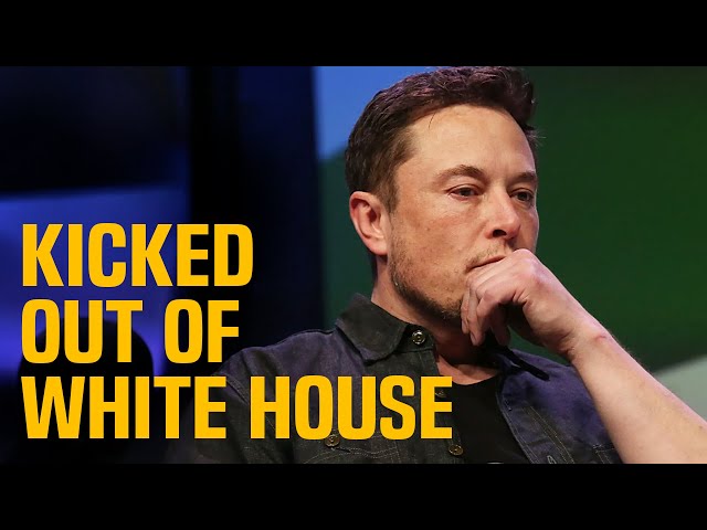 Elon Musk KICKED OUT of Trump White House, moved across the street