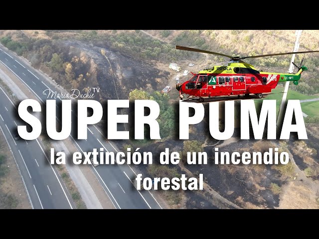 La extinción de un incendio forestal declarado en Mijas - Helicóptero Súper Puma del Infoca