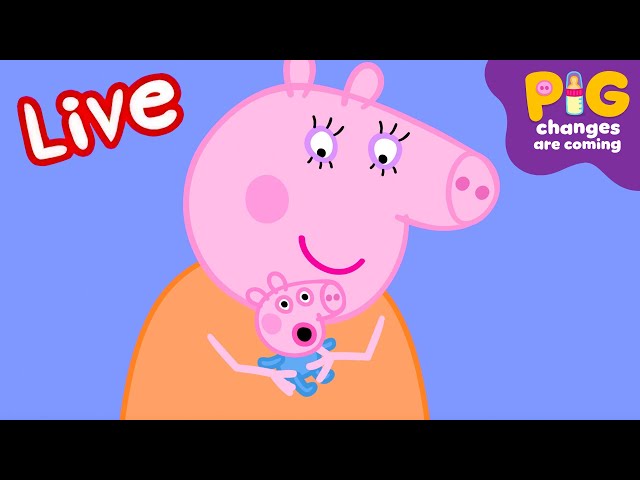 Peppa Pig BABY Episodes LIVE🍼🧸 Pig Changes are Coming! ⭐️ Kids Cartoons #ExpectingPigChanges