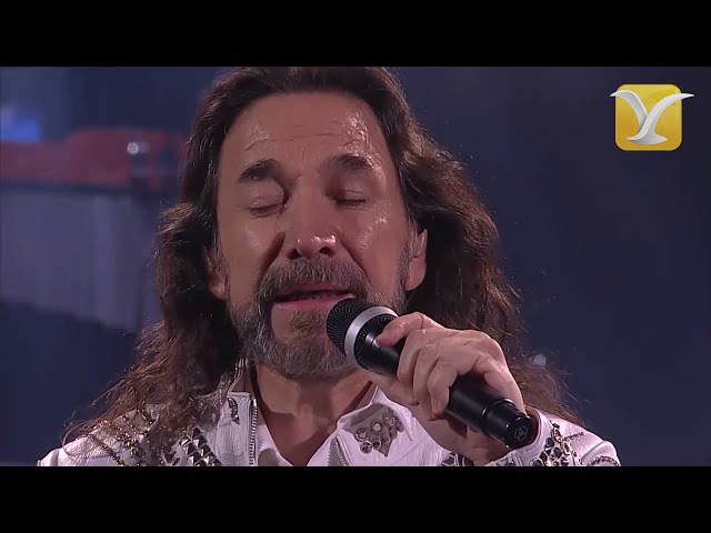 Marco Antonio Solís - Si te pudiera mentir - Festival de Viña del Mar 2019