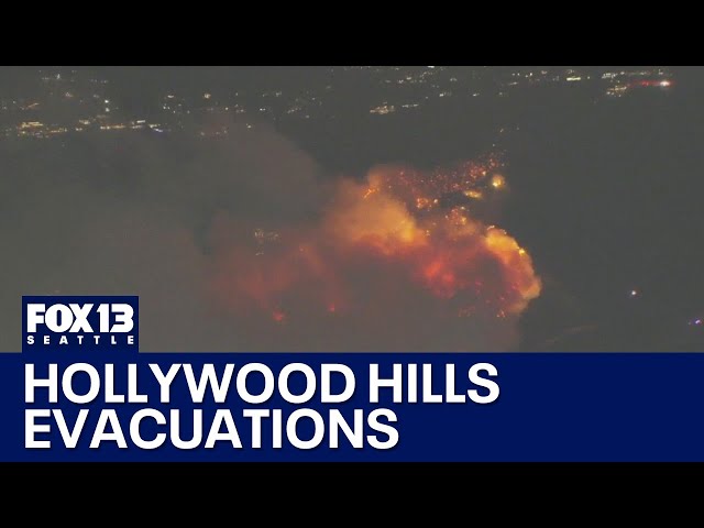 CA Sunset Fire: Evacuations ordered in Hollywood Hills