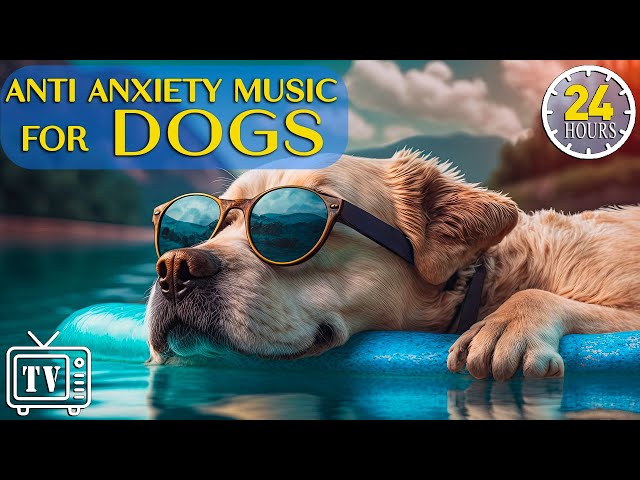 24 Hours of Anti Anxiety Music for Dogs: Cure Separation Anxiety with Dog Music & Dogs Calming Music