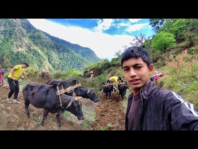 Uttarakhand Village Life || Pahari Lifestyle & Culture Vlog