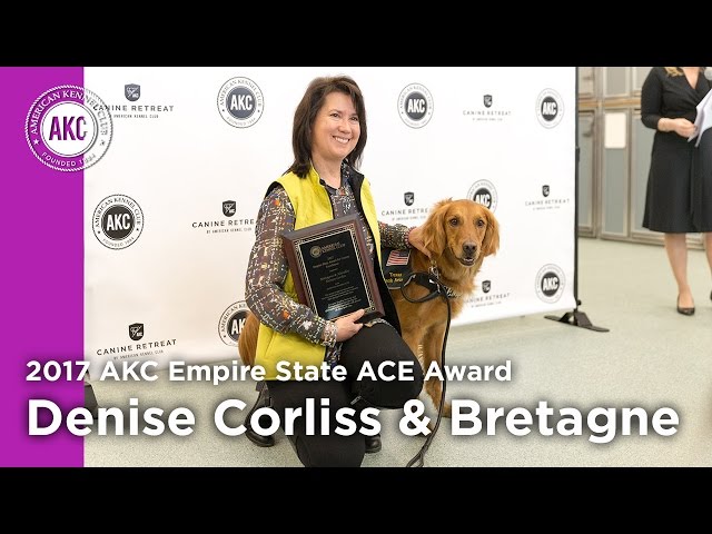 2017 AKC Empire State ACE award VR360