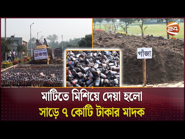 মাটিতে মিশিয়ে দেয়া হলো সাড়ে ৭ কোটি টাকার মাদক | Habiganj | Anti Drug | Narcotics | Channel 24