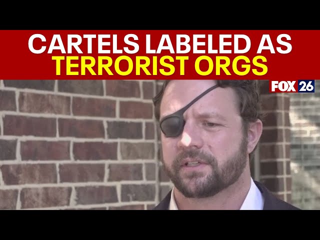 Mexican cartels labeled as terrorist organizations, Rep. Crenshaw reacts | What's Your Point?