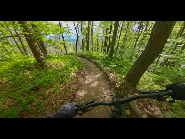 MTB Ljubljana | Črnuče trails - Limina // May 2023