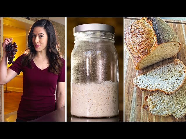 Sourdough Starter: EVERYTHING You Need to Know