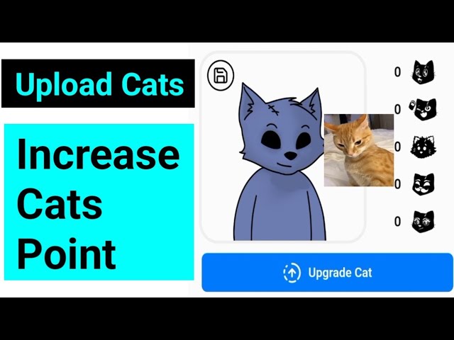 Cats Avatar || Cats Telegram Airdrop | How To Play Cats | How To Increase Cats | Cats Photo Upload