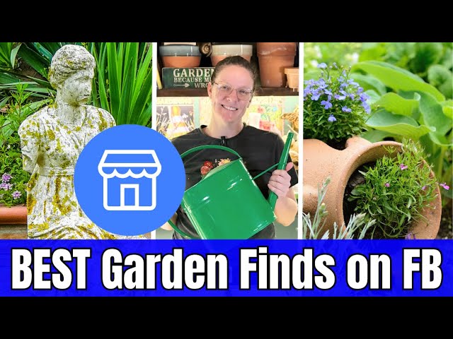 🌿 Find the BEST Garden Supplies on Facebook Marketplace | Budget Gardening Tips 🌸