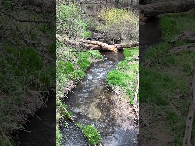 Our Baby Boy Dougie 👼 playing by the creek w Mommy ! 🙏🙏 #babyboy #fun #family #love #play #boy