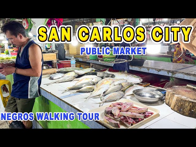 SAN CARLOS CITY Negros Occidental Public Market Walking Tour 2024