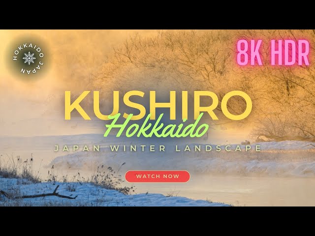 Otowa Bridge Kushiro Hokkaido Japan Winter Landscape | 8K HDR 30 Minutes Relaxing Video | Sony A1