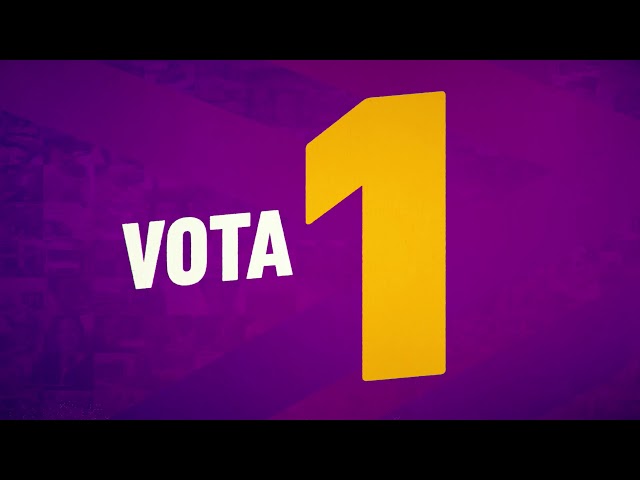 VOTA 1 - Hombre trabajador