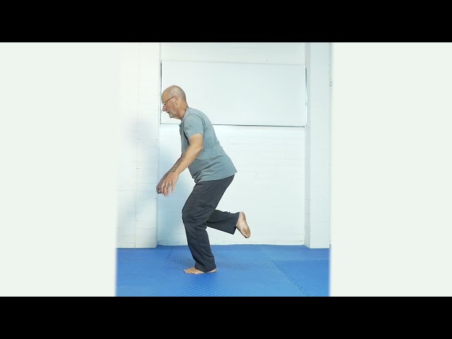 Single leg squat variation