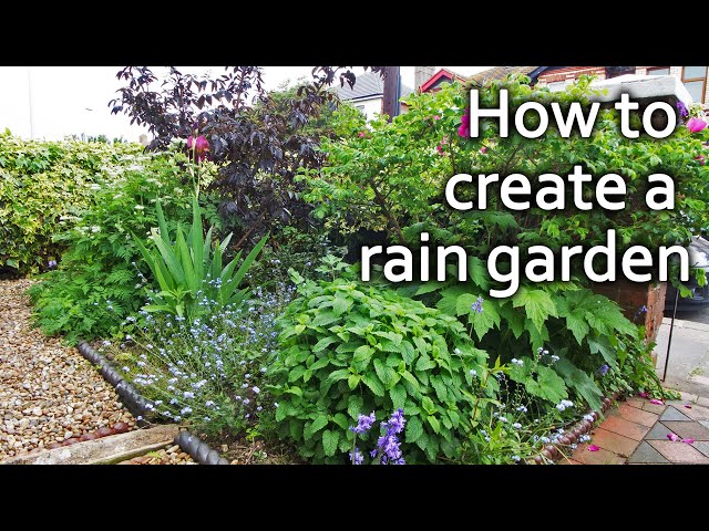 How to Build a Rain Garden | Utilise Rainwater and Prevent Flooding