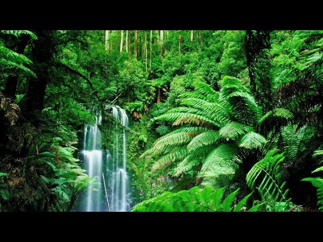 10 minute meditation music - 10 minute relaxing meditation music