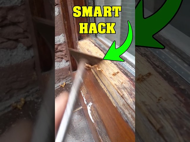 NO PAINTER TELLS YOU THIS HACK! #diy  #shorts_