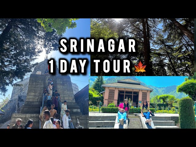 Srinagar Day Tour🍁🍁||@Vloglife||Travel Vlogs||Mughal Garden|| Shri Adi Shankaracharya Temple🛕 ||🧿☘️