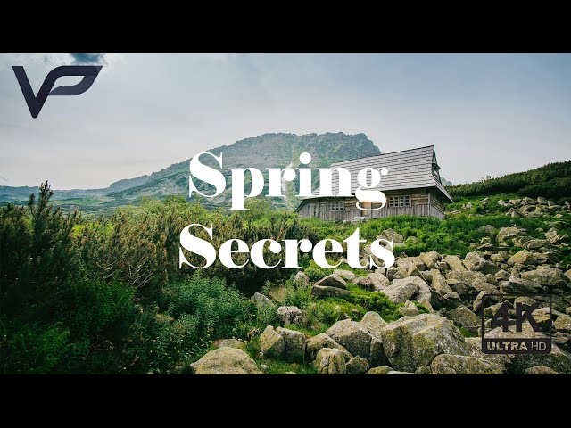 Spring Secrets: Discover the Hidden Beauty of Nature’s Favorite Season! 4K HD ASMR NATURE RELAXING