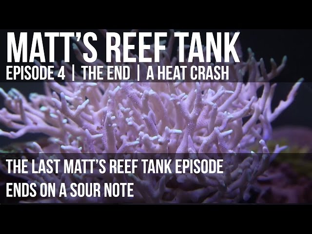 Matt's Reef Tank | Episode 4 | The End? -- A Heat Crash