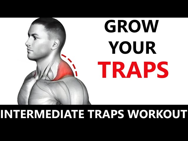 INTERMEDIATE WORKOUT  TRAPS WORKOUT  MUSCLE BUILDING WORKOUT  TRAPS WORKOUT AT GYM