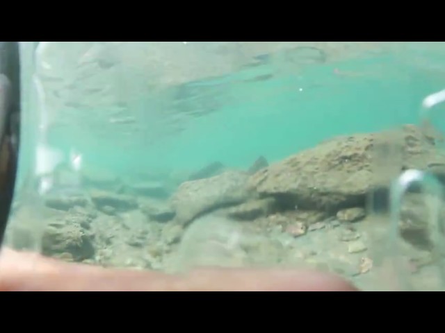 st martin chera dip bangladesh l underwater 360 video