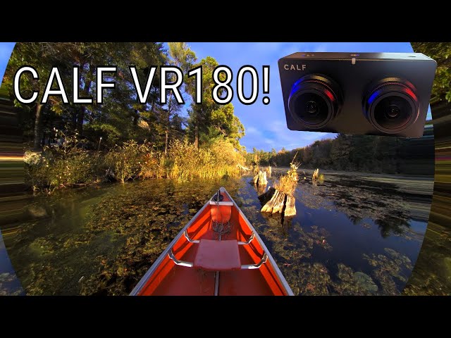 Canoeing with CALF VR180 Camera #CalfVR #vr180