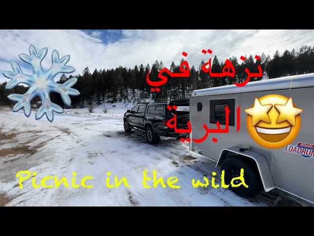 Cargo trailer picnic in a cold forest 🌳 نزهة في مقطورة #toyota