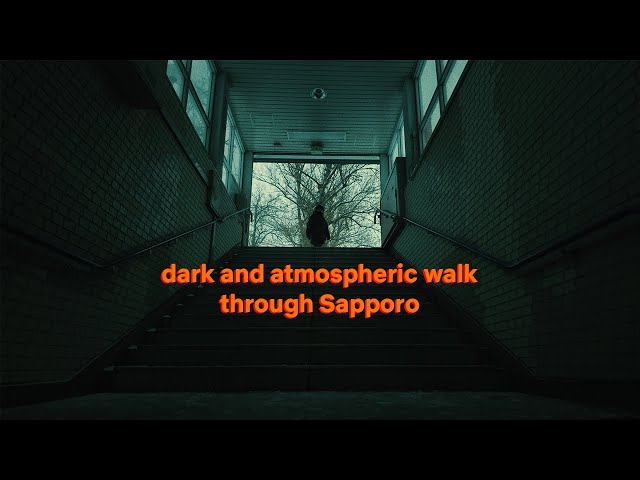 dark and atmospheric pov walk and photography / Japan, Sapporo