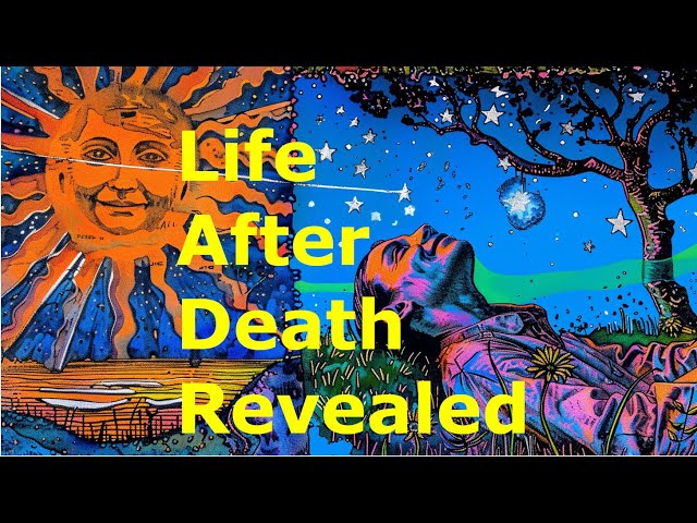 Life after death according to top remote viewer