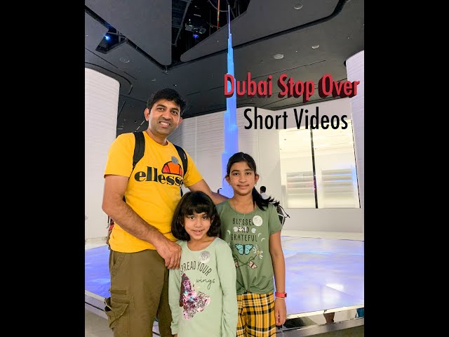 Dubai Mall  Aquarium Shorts