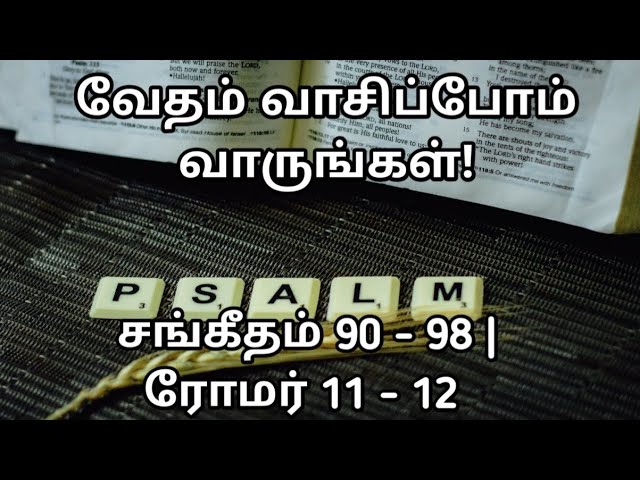 வேதம் வாசிப்போம்! வாருங்கள்! 318 (24- 188) | சங்கீதம் 90 - 98 | ரோமர் 11 - 12 | @meimarai | #live