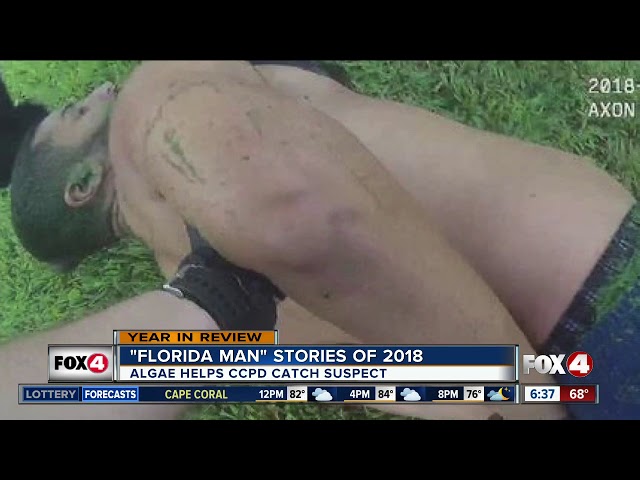 Florida news: Top weird news stories from the Sunshine State in 2018