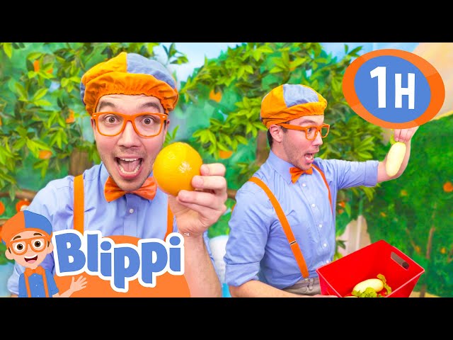 Blippi Learns about Growing Veggies | BEST OF BLIPPI! | Learn Colors and Science with Blippi!